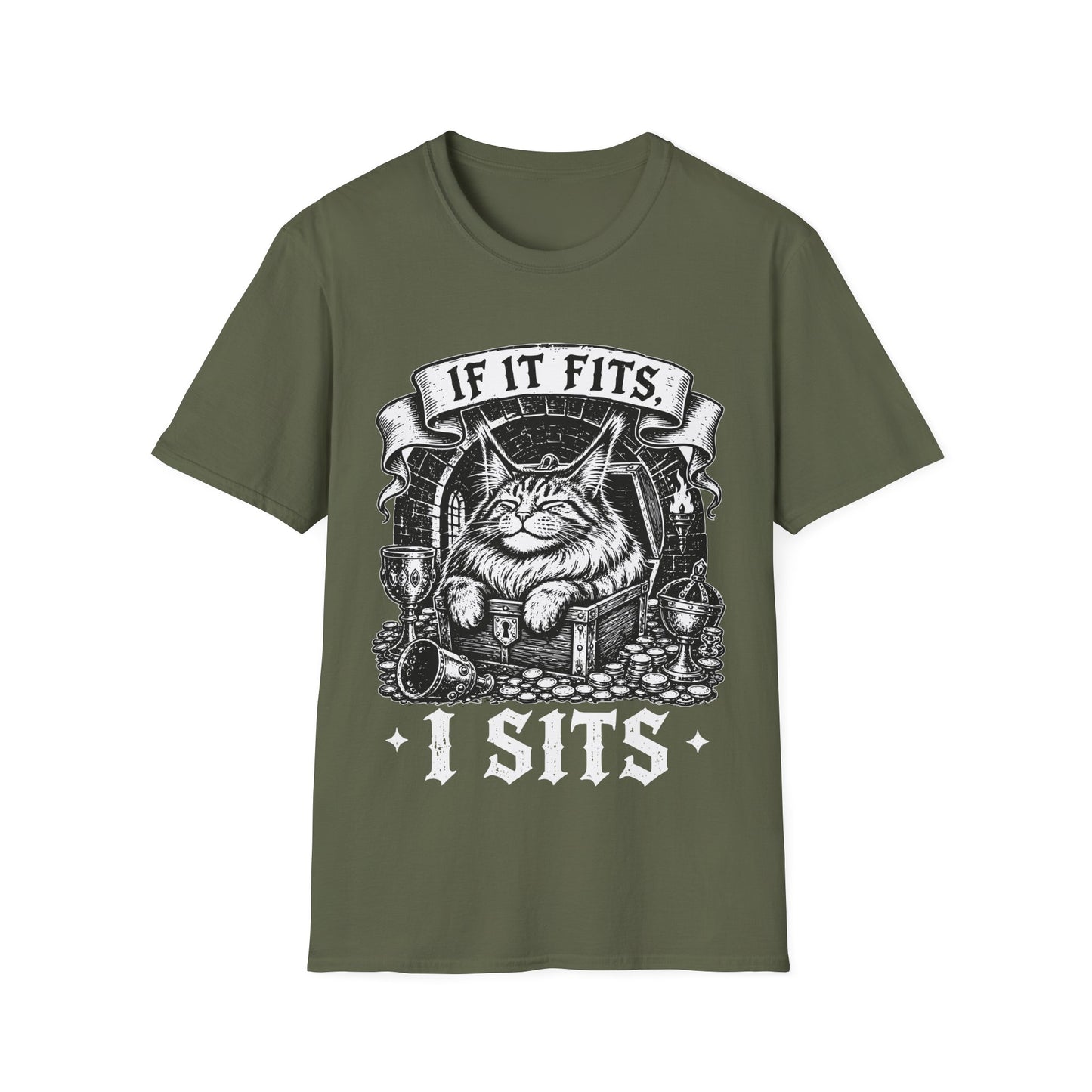 If It Fits, I Sits Funny Maine Coon Treasure Chest T-Shirt