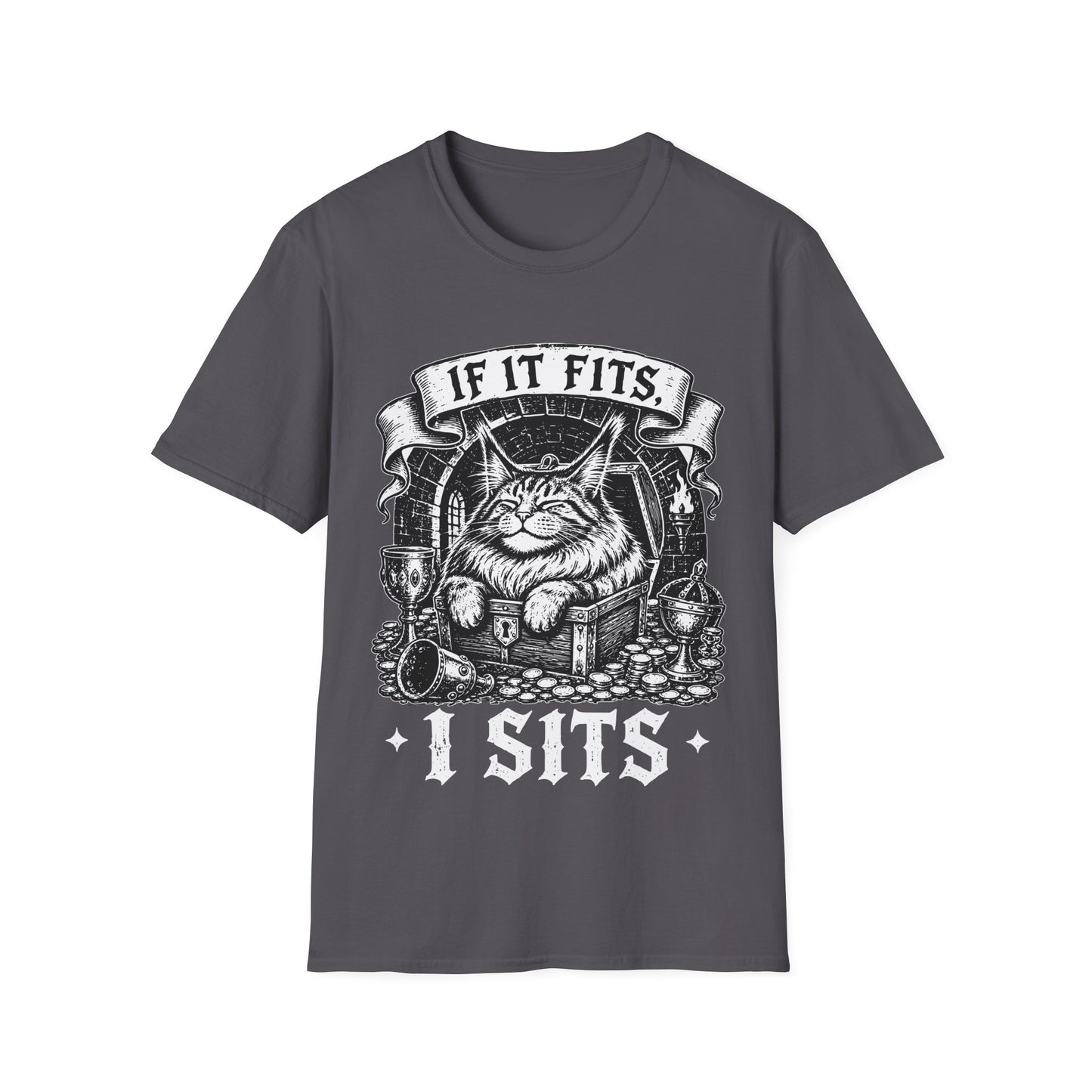 If It Fits, I Sits Funny Maine Coon Treasure Chest T-Shirt