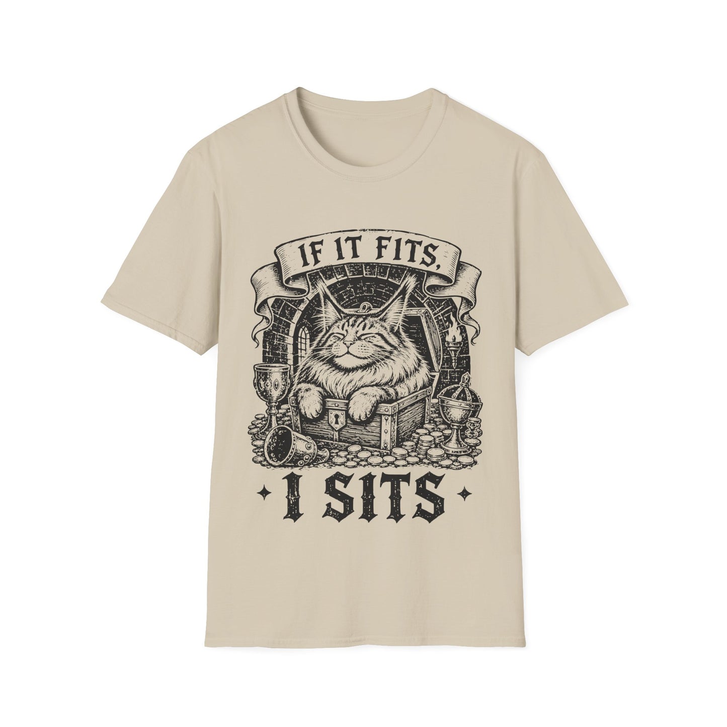 If It Fits, I Sits Funny Maine Coon Treasure Chest T-Shirt