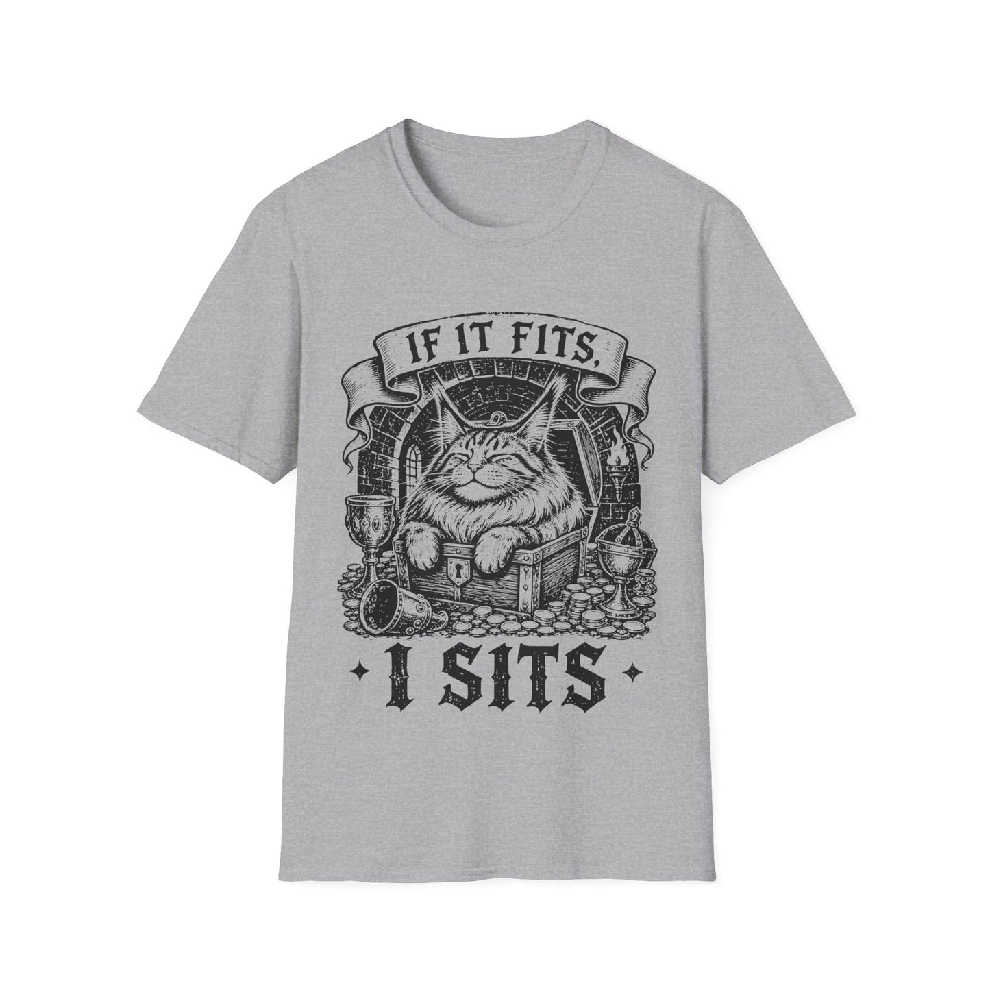If It Fits, I Sits Funny Maine Coon Treasure Chest T-Shirt