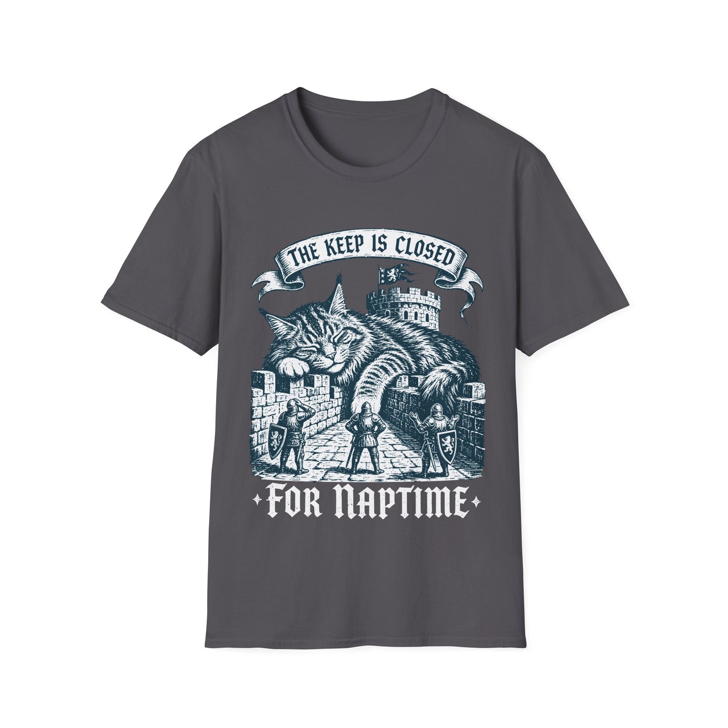 The Keep Is Closed for Naptime Funny Maine Coon Castle Cat T-Shirt