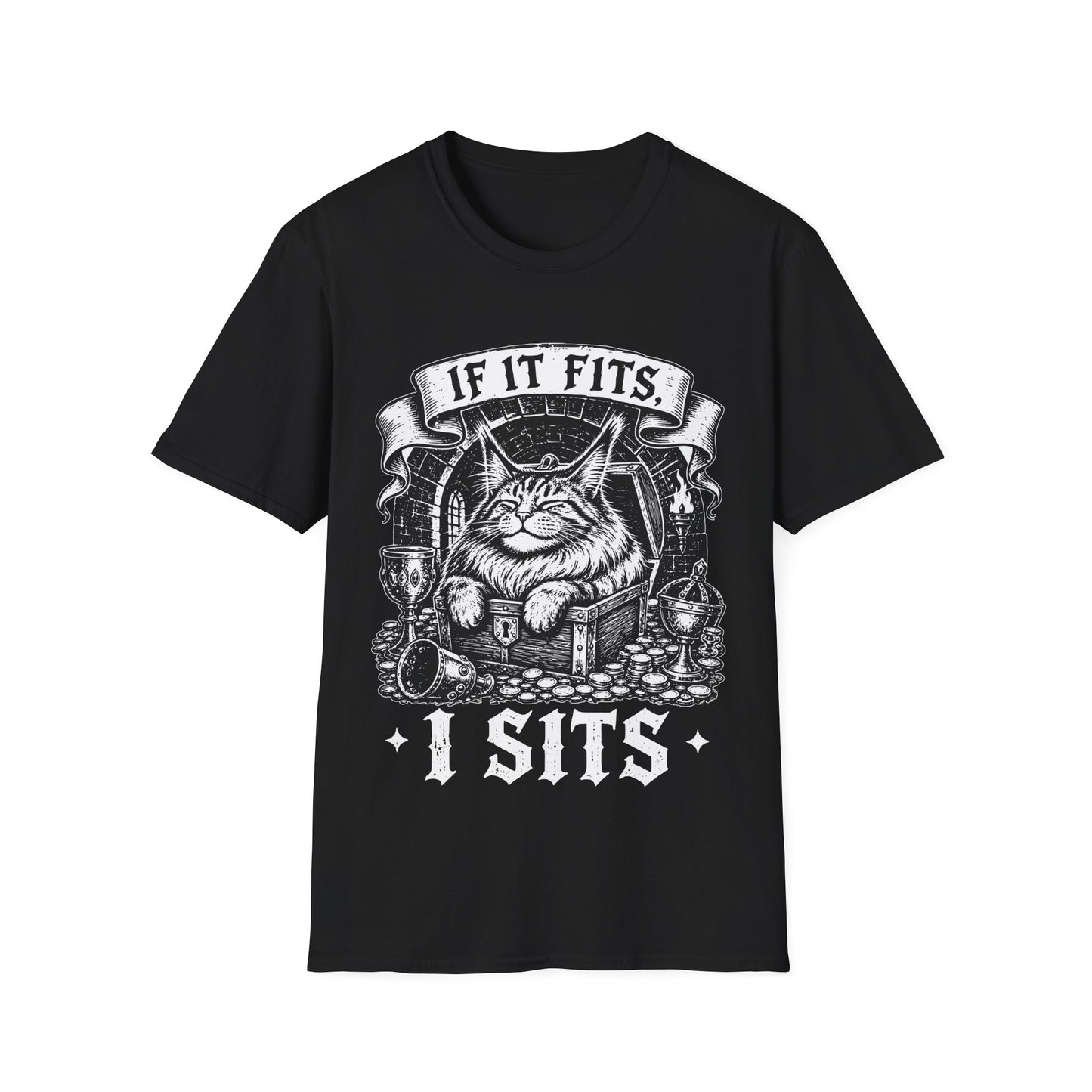 If It Fits, I Sits Funny Maine Coon Treasure Chest T-Shirt