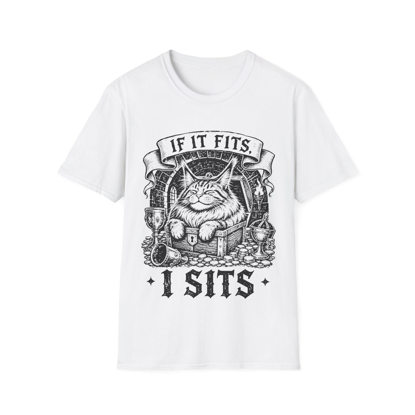 If It Fits, I Sits Funny Maine Coon Treasure Chest T-Shirt