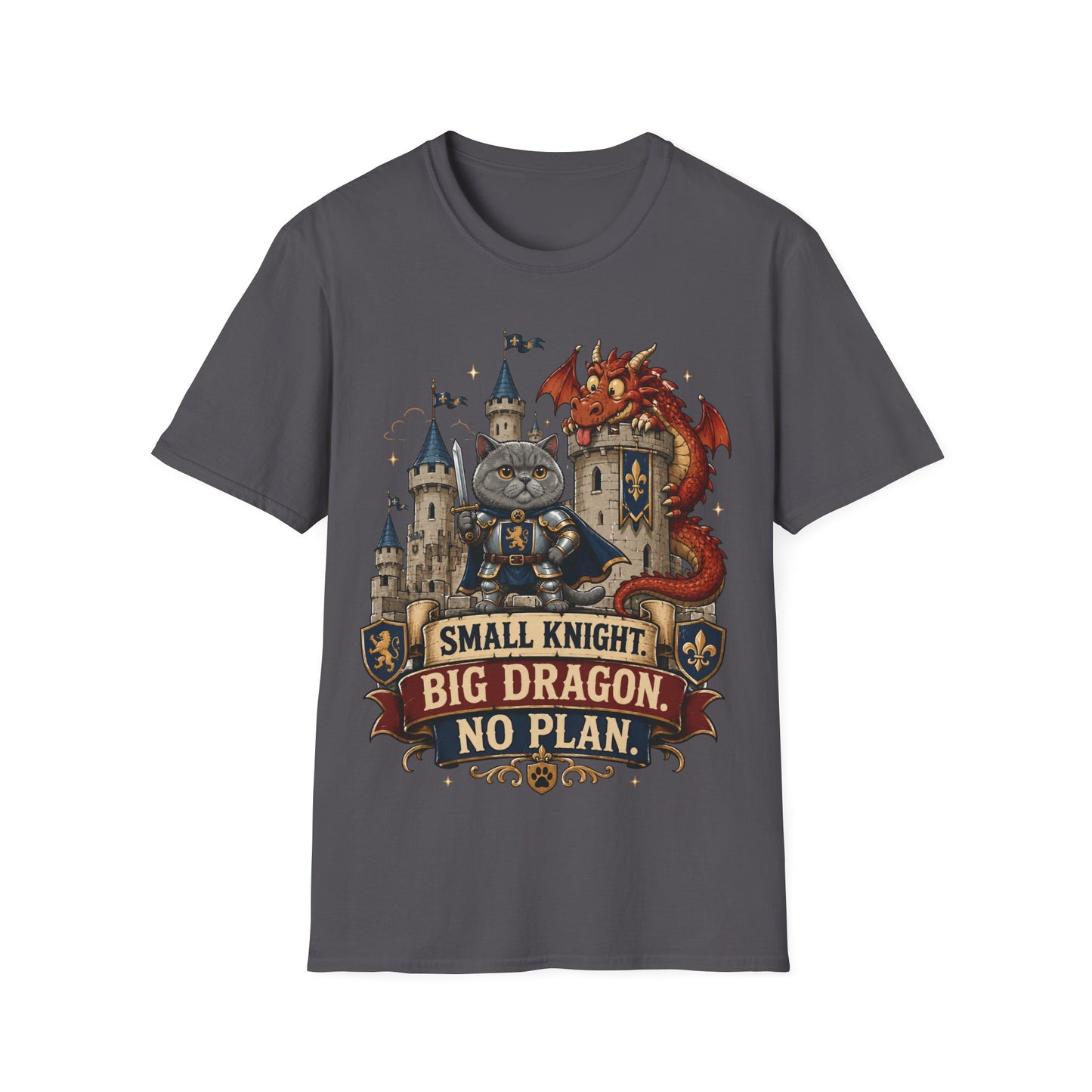 Small Knight. Big Dragon. No Plan. T-Shirt