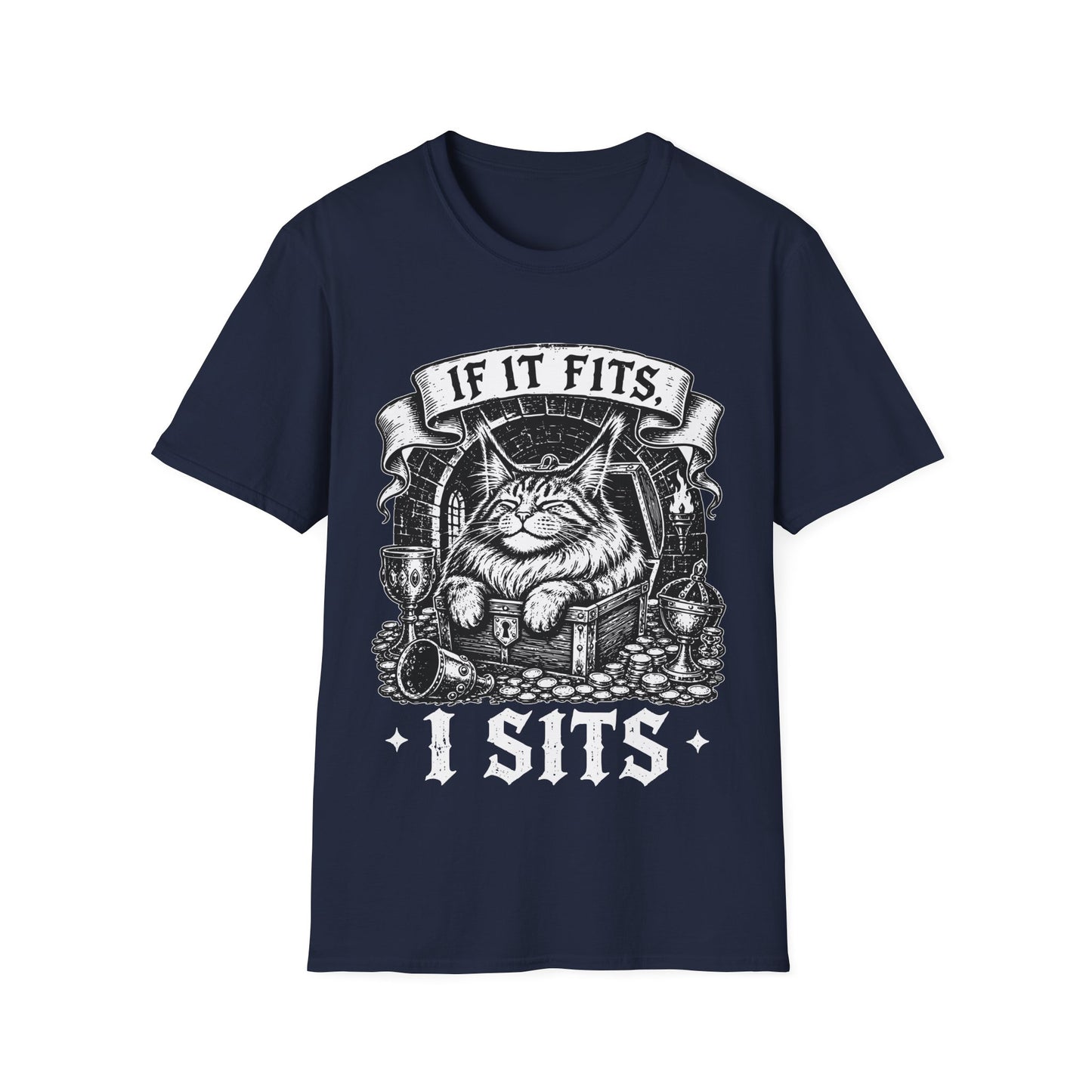 If It Fits, I Sits Funny Maine Coon Treasure Chest T-Shirt
